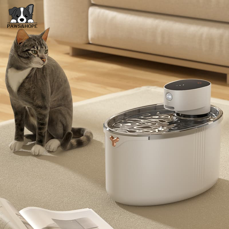 Automatic cat water dispenser